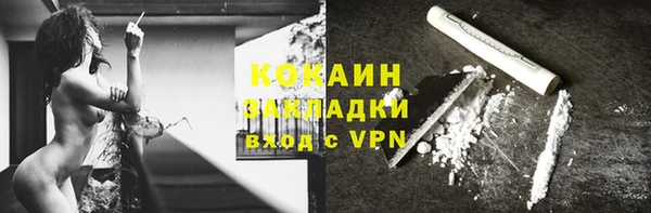 крисы Алзамай