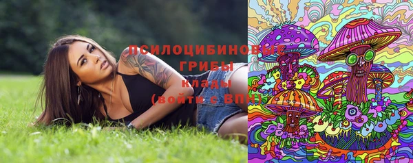 крисы Алзамай