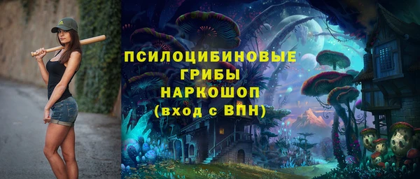 круглые Алексеевка