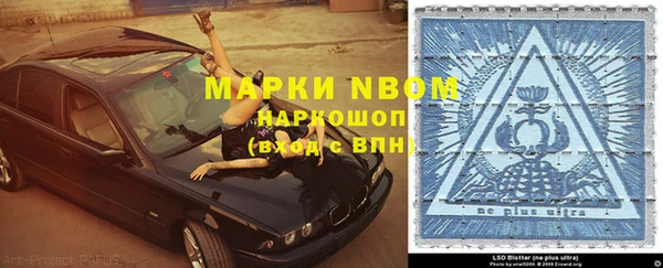 крисы Алзамай