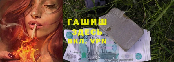 крисы Алзамай