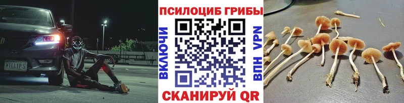 Псилоцибиновые грибы GOLDEN TEACHER  Белоозёрский 